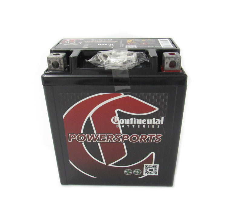 Battery (GN.10000038386) Generac