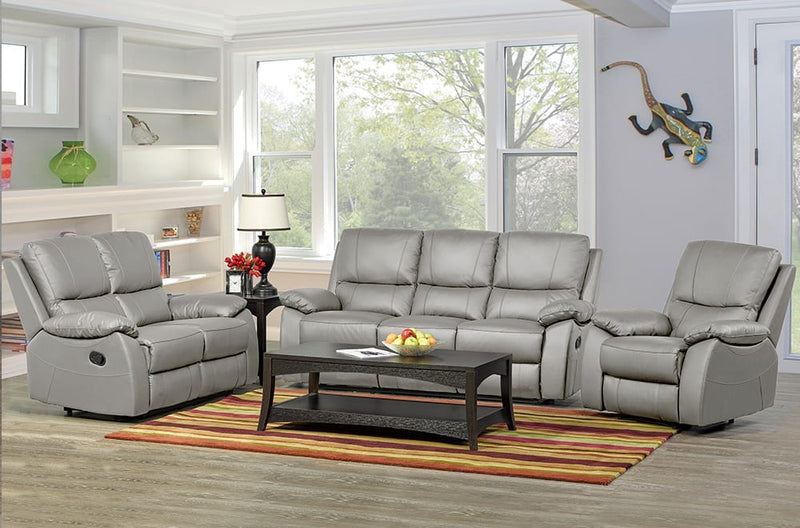 T1415- Light Grey Leather Sofa- Titus Furniture