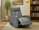 T1042 Leather Reclining Glider Chair Grey - Titus Furniture