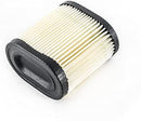 504-00613 (TEC36905) Air Filter NLA