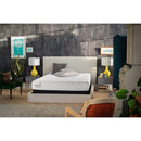Cocoon Classic 8" Mattress-Sealy