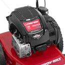 Troy-Bilt  Walk-Behind String Trimmer TB22TM