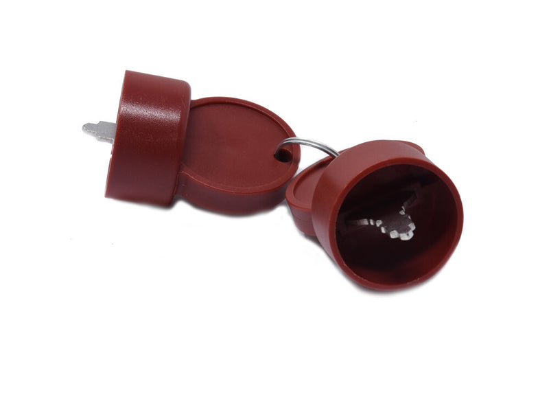 AP23800100 Ariens Key 2PK