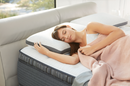 Beautyrest Absolute Relaxation Pillow - Queen